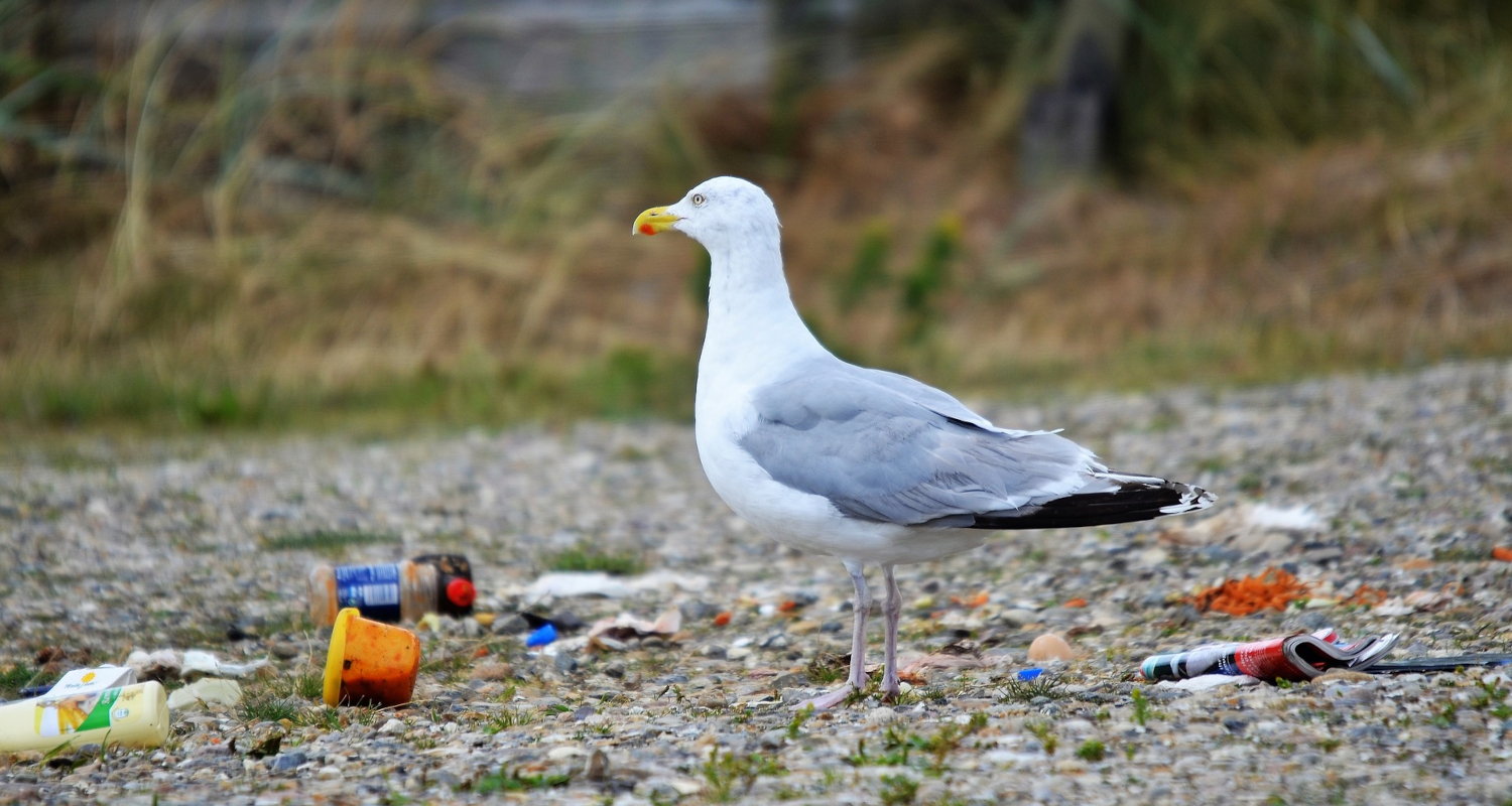 a2bd6246-cd98-43e5-a024-86825c35852f