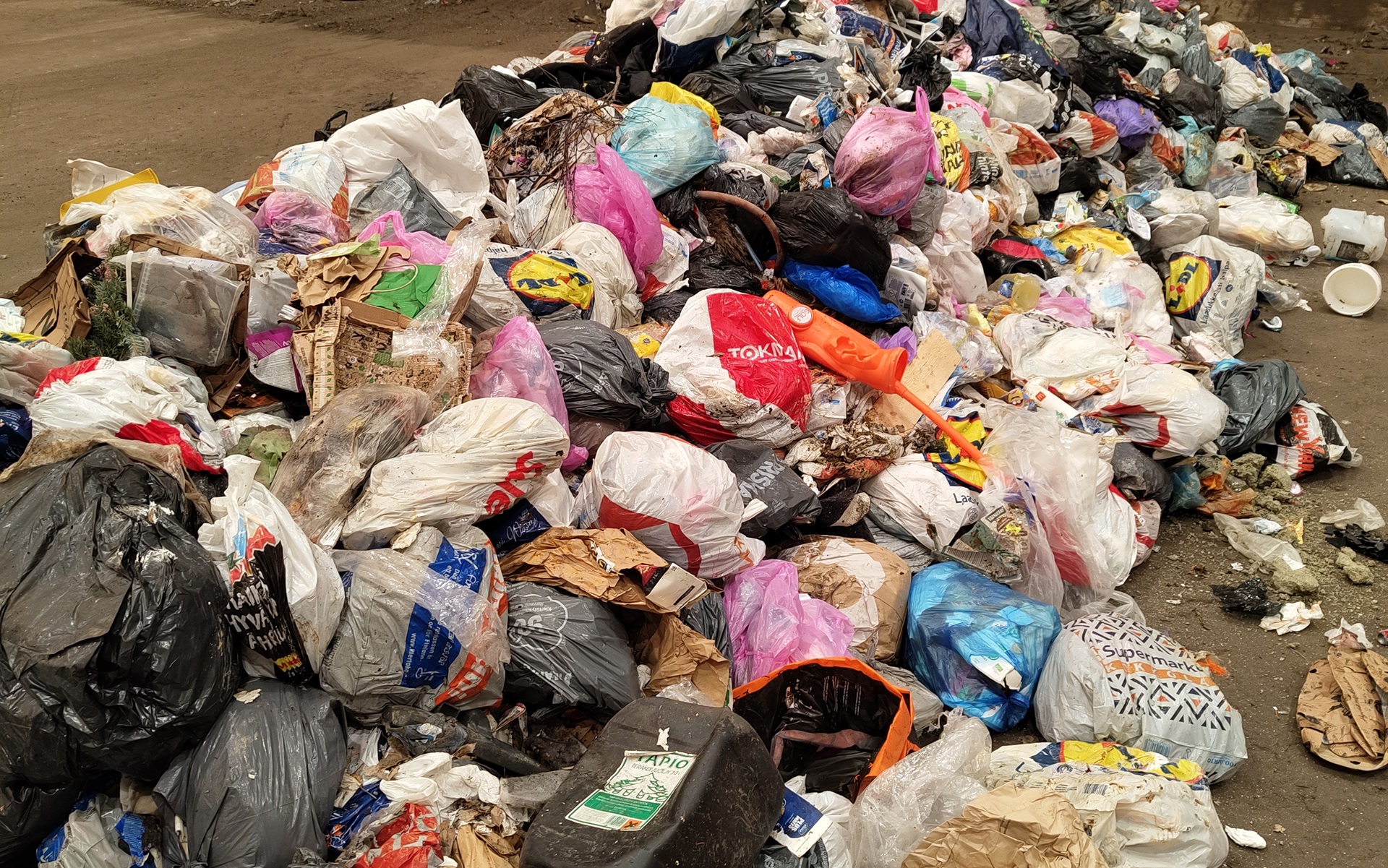 c5eda887-fa2d-4017-a0d9-c536b2b5e60d