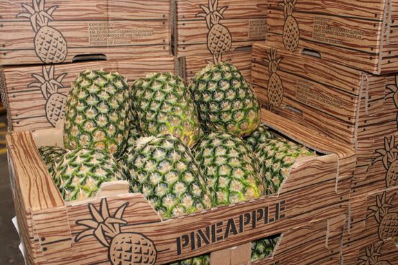 fc2244de-64d6-4889-bd66-14971aba7dd7-w_576_h_2000