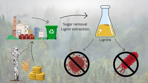 c35ff24d-7e90-4392-9c87-3ce667ecbaef-w_576_h_2000